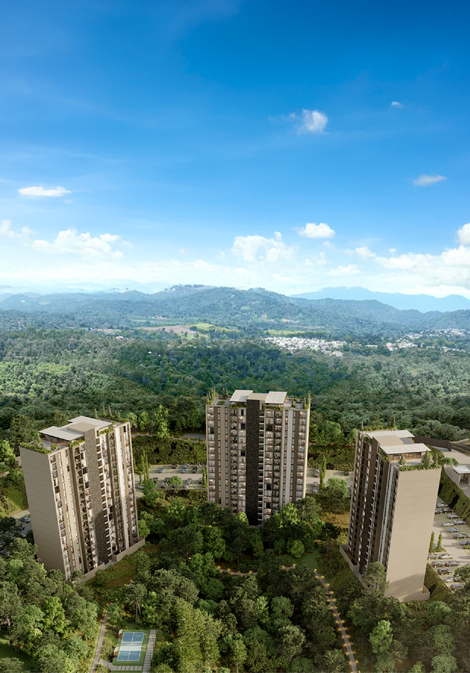 Vistas de Fraijanes